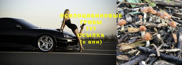 ALPHA PVP Белокуриха